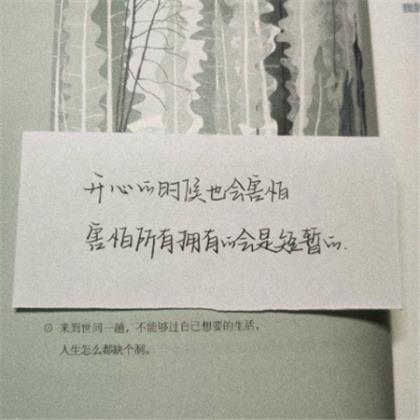 引起共鸣的情感短句