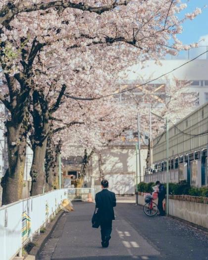 学校宿舍标语口号大全 校园励志标语大全