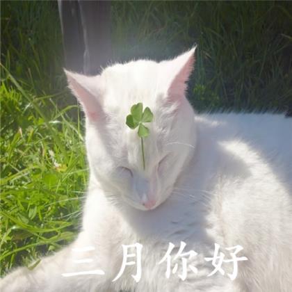 教师节对老师的祝福语50字