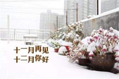 下雪适合发朋友圈的句子