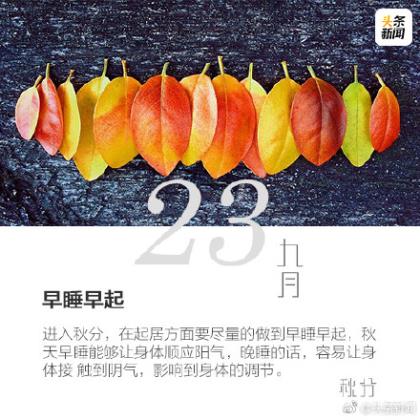 妹妹结婚祝福语朋友圈 送给妹妹新婚祝福的话(48句)