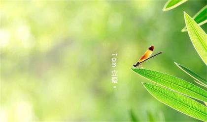 生日祝福语个性签名 母亲节祝福语签名