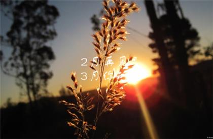 天气变冷的微信祝福语 天气转凉的早安问候语(40句)