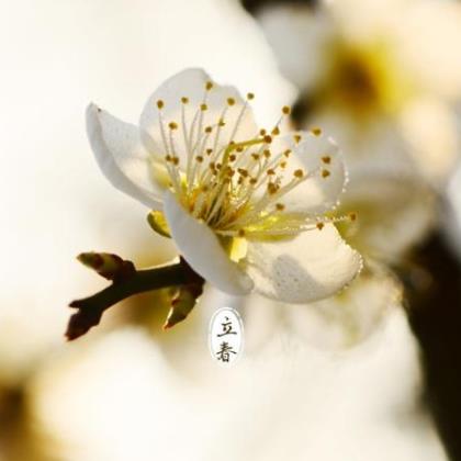 兄弟生日条幅祝福语搞笑 恶搞生日祝福语条幅(36条)