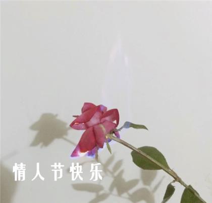 4岁宝宝生日祝福语简短