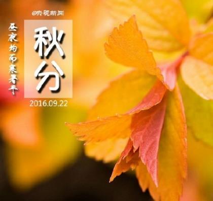 端午节祝福语2023年客户