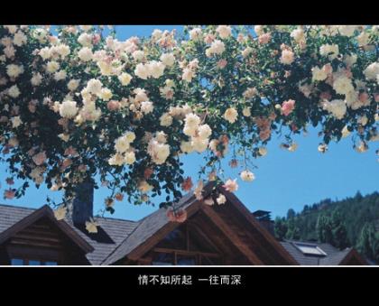 搞笑教师节微信祝福语大全