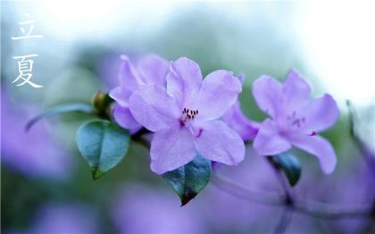 单位里三八节祝福语