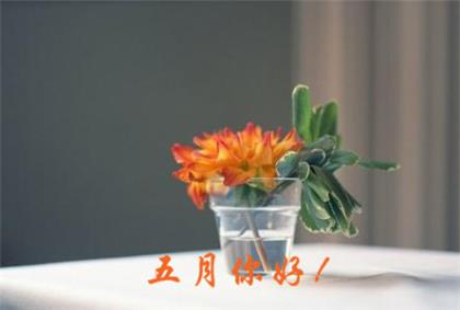 适合送给男朋友的话祝福 生日快乐祝福语男朋友