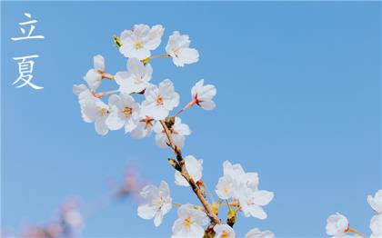 2022年虎年祝福说说