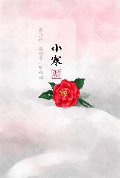 听雪楼经典句子(因为你没有看出来…)