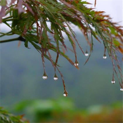 冬天句子唯美短句子 秋冬季节转换的句子