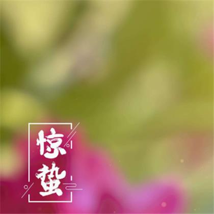 林徽因的39段经典美文 林徽因39段美文