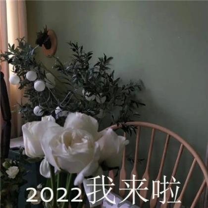 高冷的经典流行语录 2022经典搞笑语录