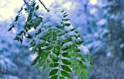 微信红包祝福语大全 新婚红包贺词格式范本(40句)