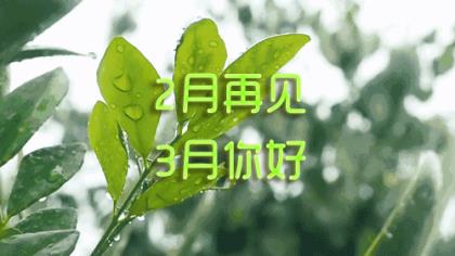 情感句子短句八个字 激励人心的句子八个字