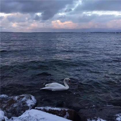 七夕情人节告白短信 浪漫七夕短信祝福语