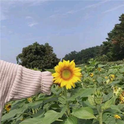 小学生常用名人名言精选