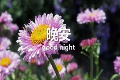 涂磊情感语录夜听