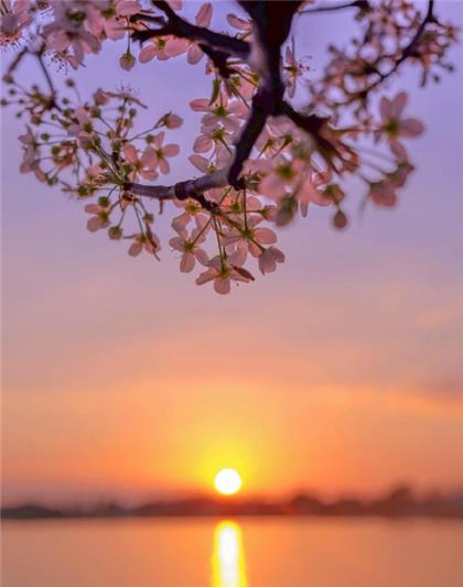 2022年春节祝福短信