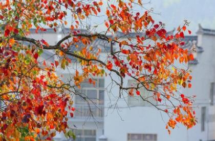 学校体育室标语