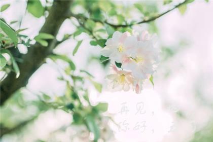 本年春节搞笑祝福短信