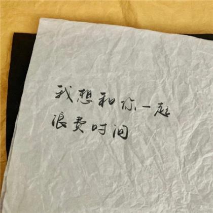 教师个人宣言经典