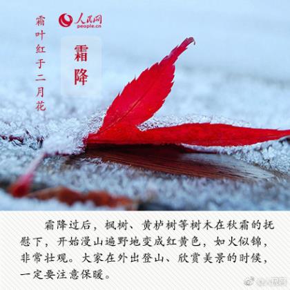 赞美小雨的话